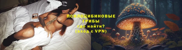мяу мяу кристалл Гусь-Хрустальный