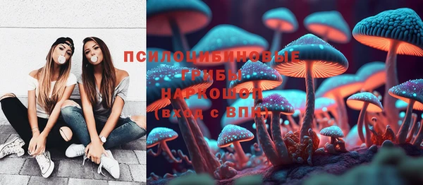 мяу мяу кристалл Гусь-Хрустальный