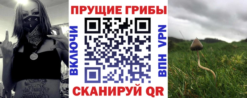 shop формула  Орёл  Псилоцибиновые грибы ЛСД  OMG как войти 